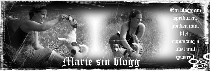 Marie sin blogg. Just another day...