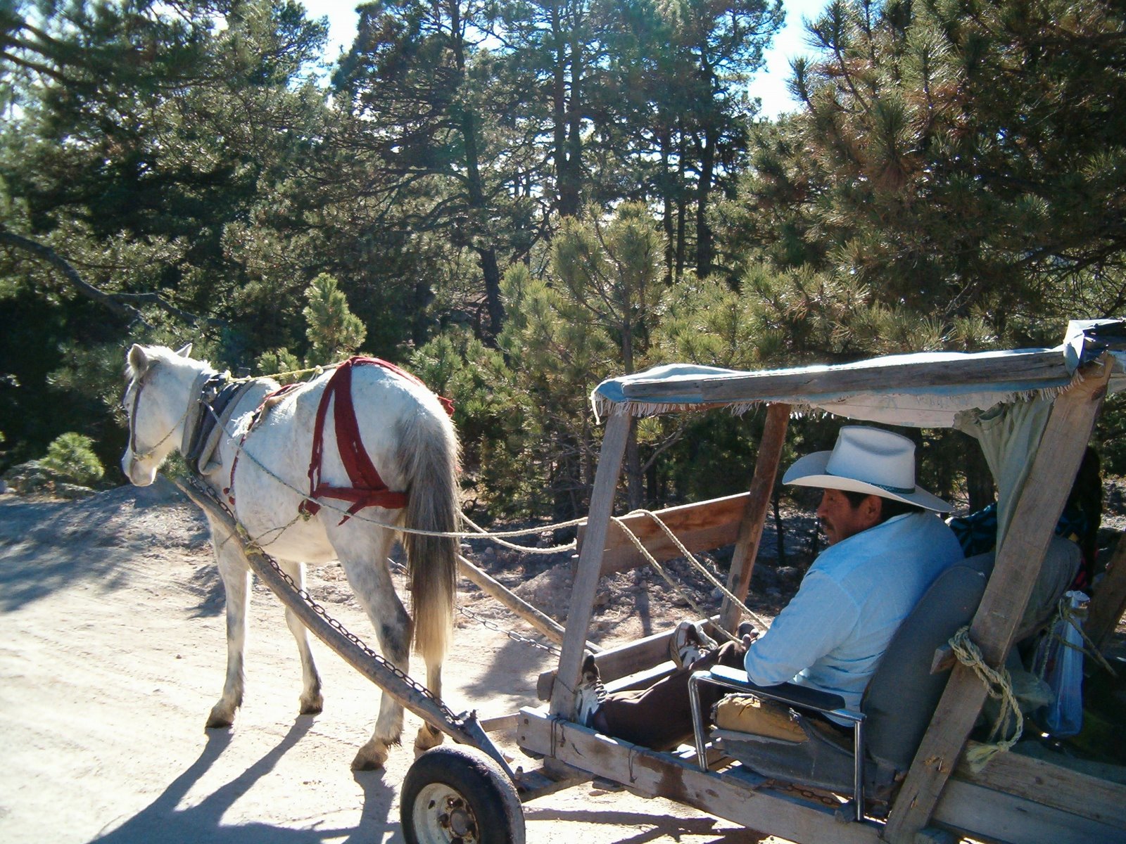 [HPIM0078.JPG]