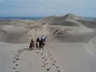 DUNAS