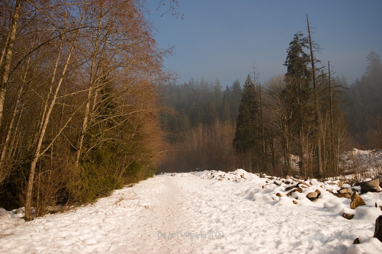 [a0022.jpg]