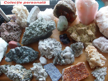 Colecție roci, minerale, fosile