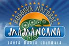 Mamancana