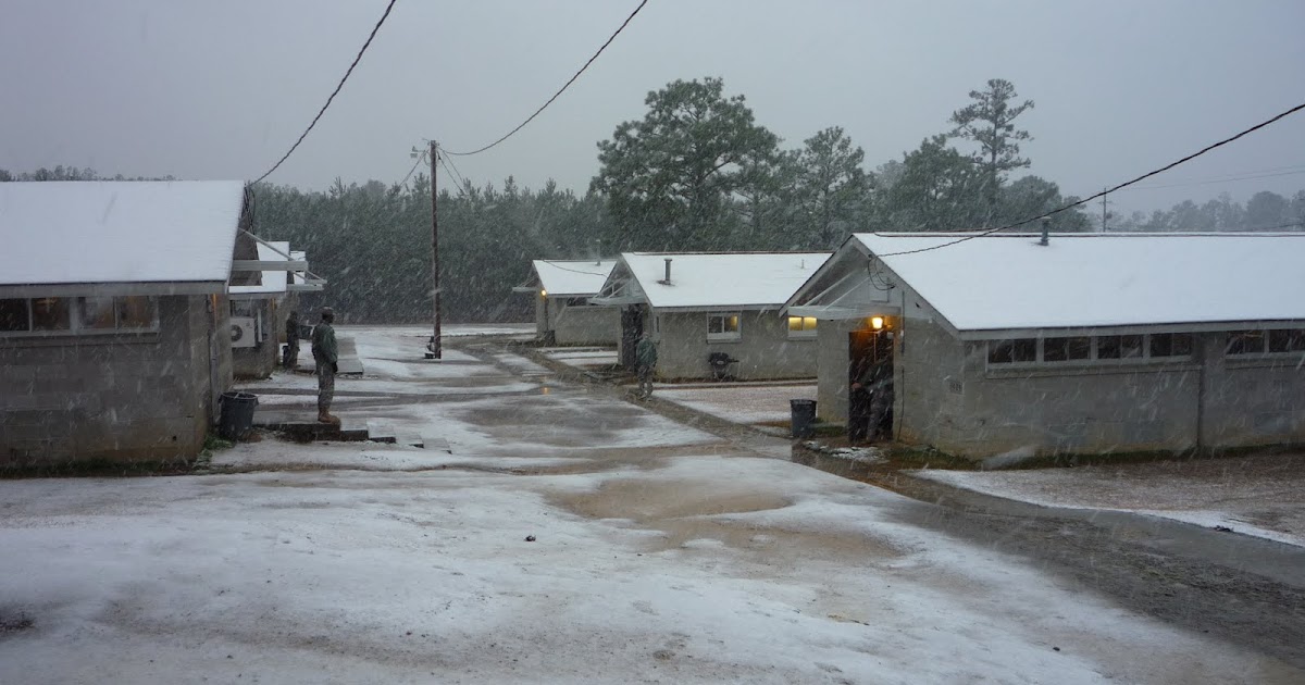 Scouts Out! Camp Shelby