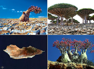 Socotra, Republic of Yemen