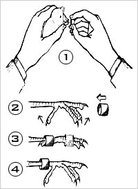 [Anilhamento[1].jpg]