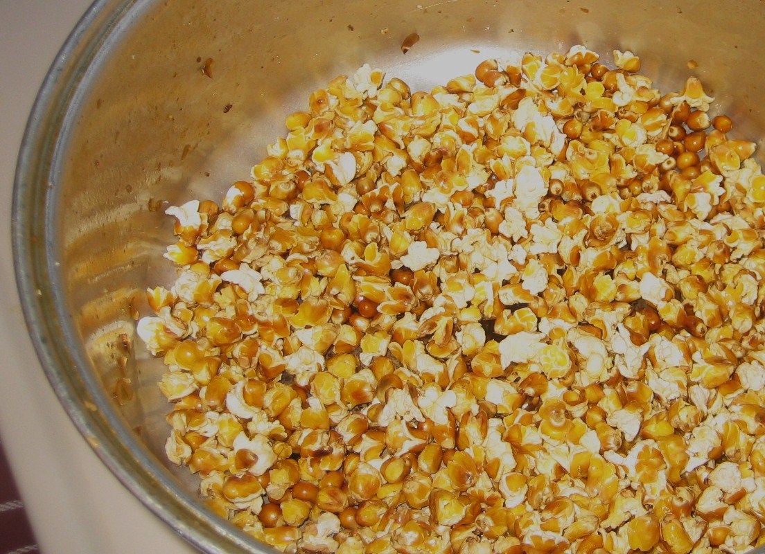 [polenta.popcorn+036.JPG]