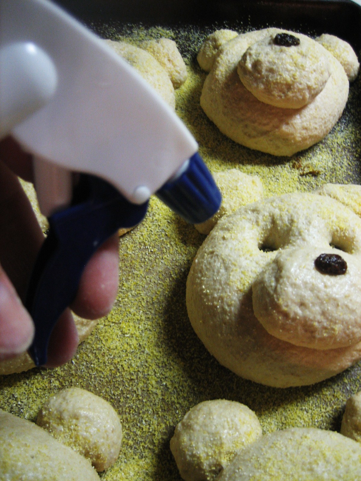 [bearbuns+058.JPG]