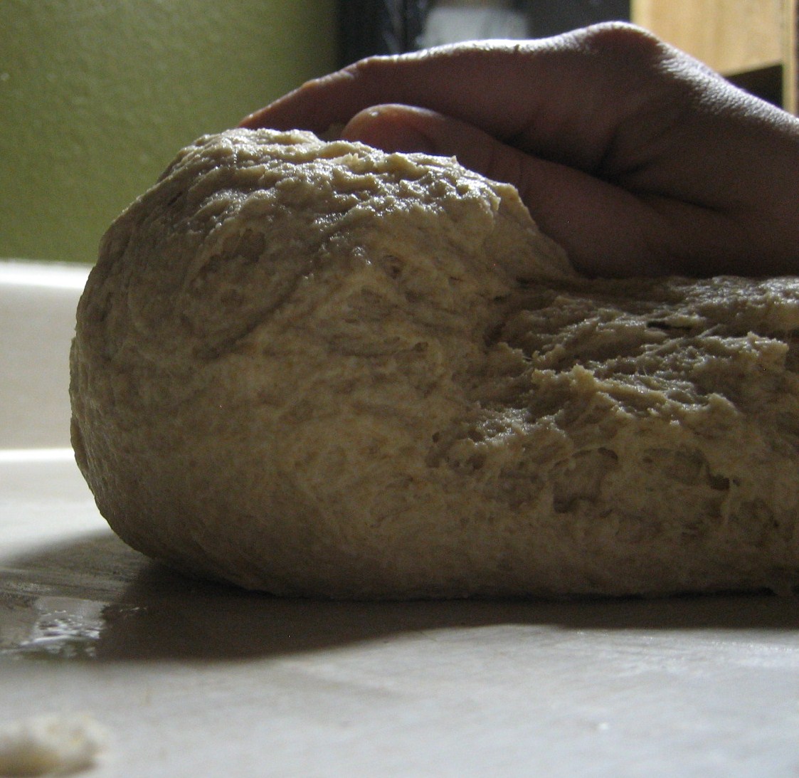 [bearbuns+023.JPG]