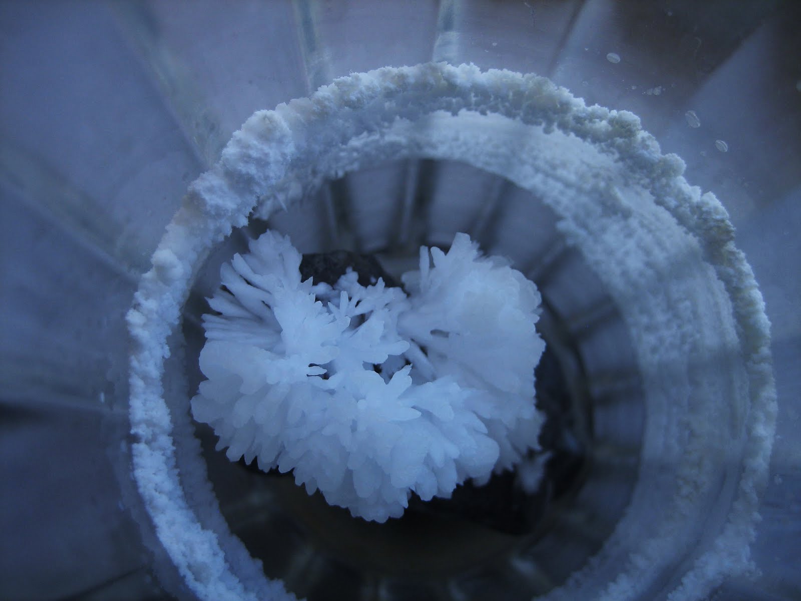 Chef Tess' Bakeroose Popcorn Rocks