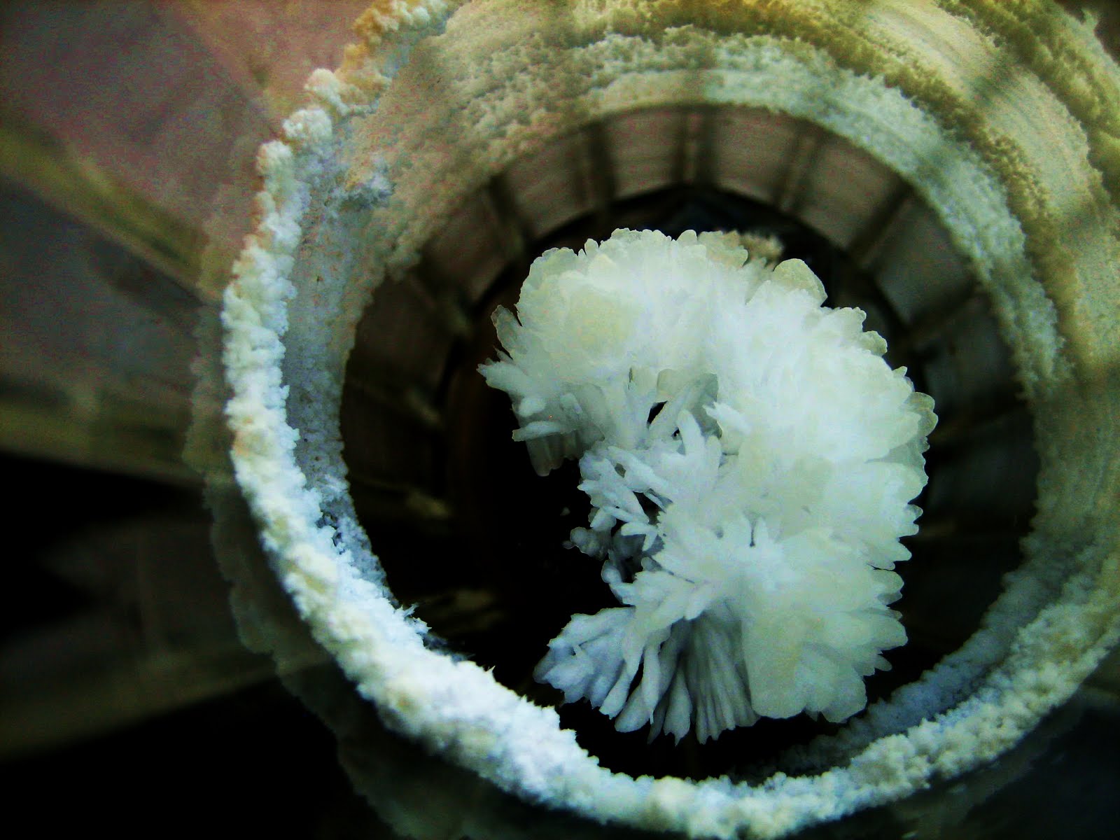 Chef Tess' Bakeroose Popcorn Rocks