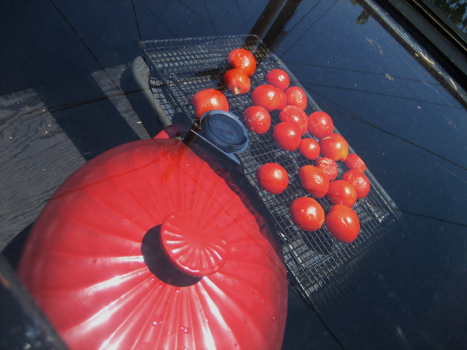 Chef Tess Bakeresse Sundried Tomato Pesto from the solar oven