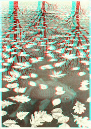 MC Escher3 3D