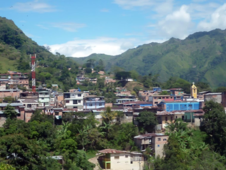 RioBlanco Microrregion 087 RIOBLANCO TOLIMA ACTIVIDADES COGESTORES