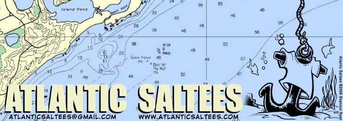 Atlantic Saltees