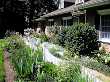My Spring Garden