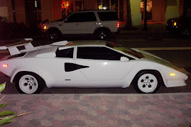 Countach side view