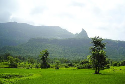 Bhimashankar Trek Photos
