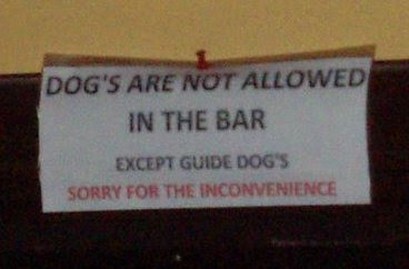 Bar Dogs