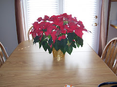our poinsettas lived from christmas until april!