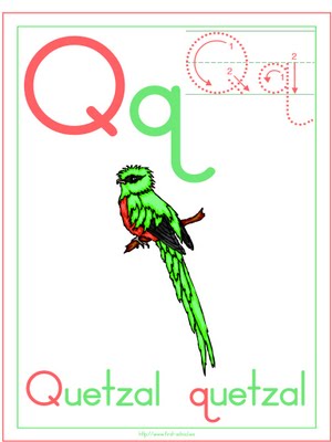 [Q-(quetzal)[1].jpg]