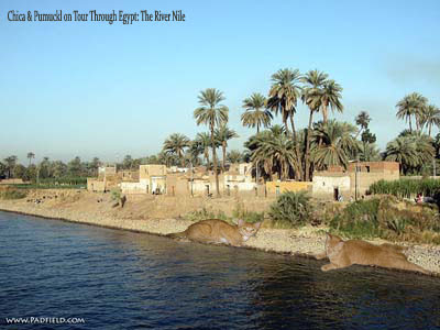 river nile images