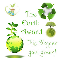 Earth Award!