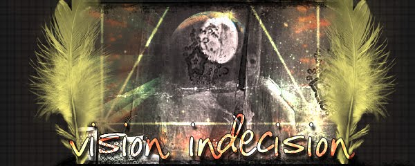 Vision Indecision