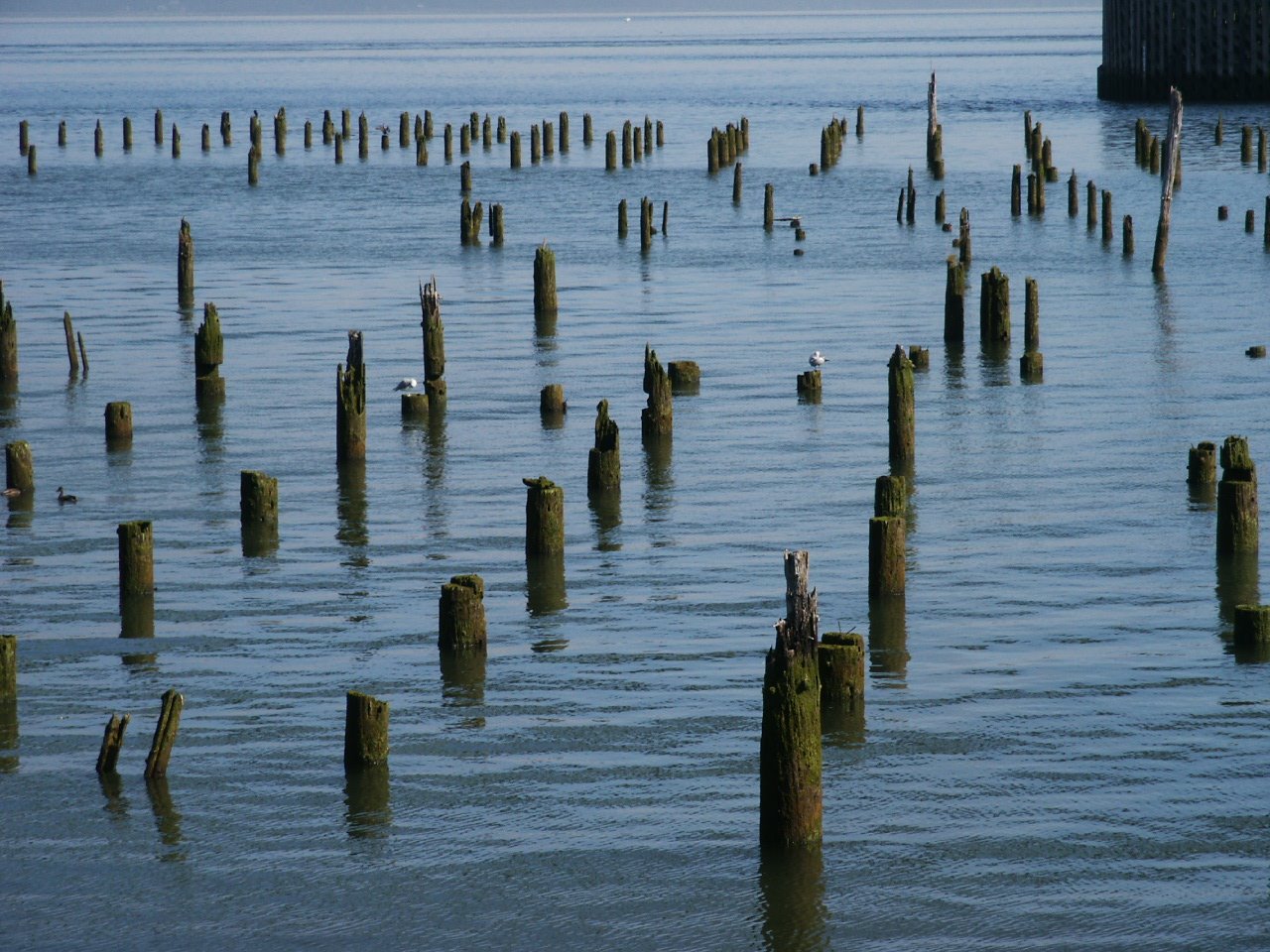 [Astoria+ride+091308.JPG]