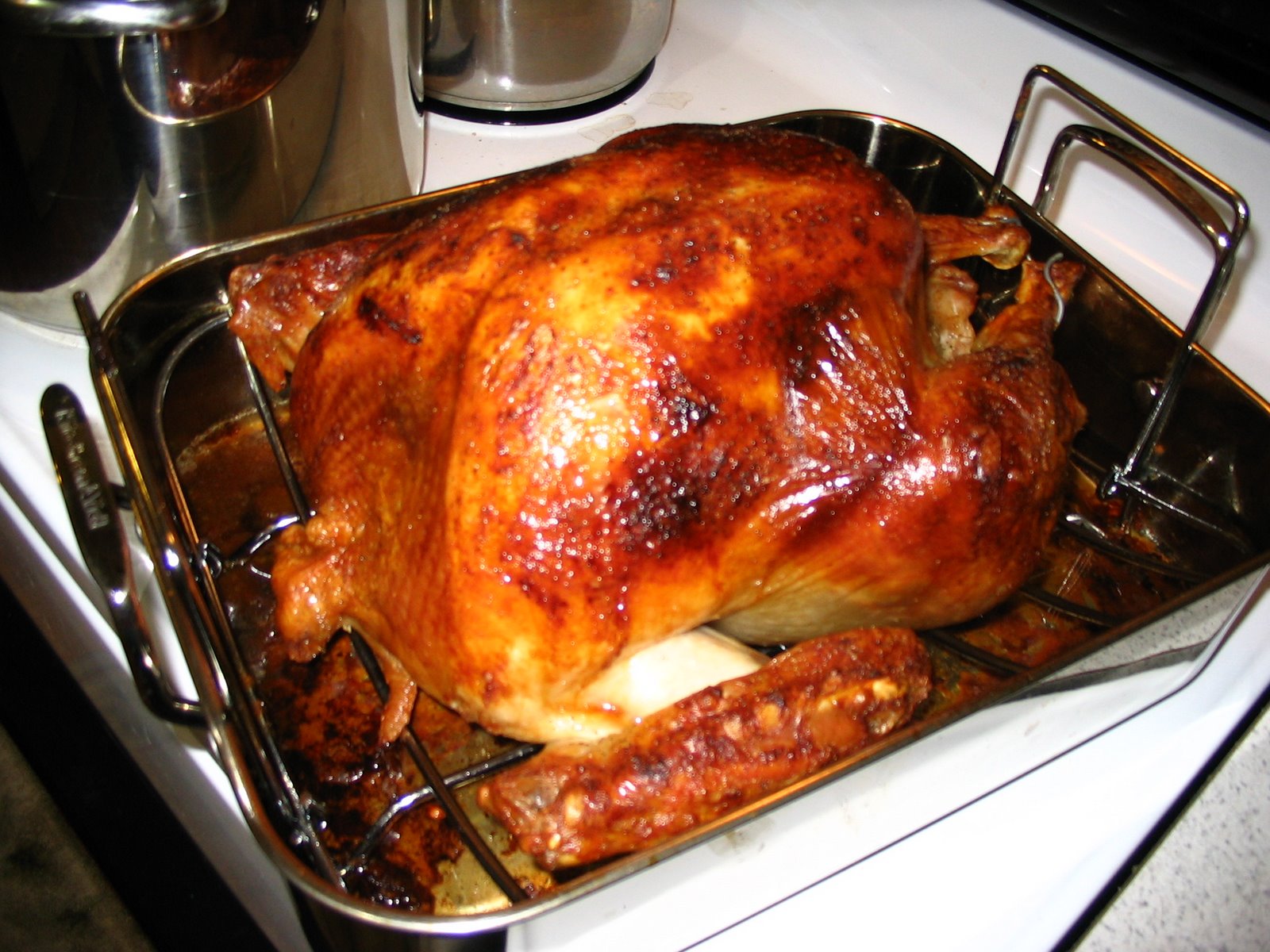 [turkey.jpg]