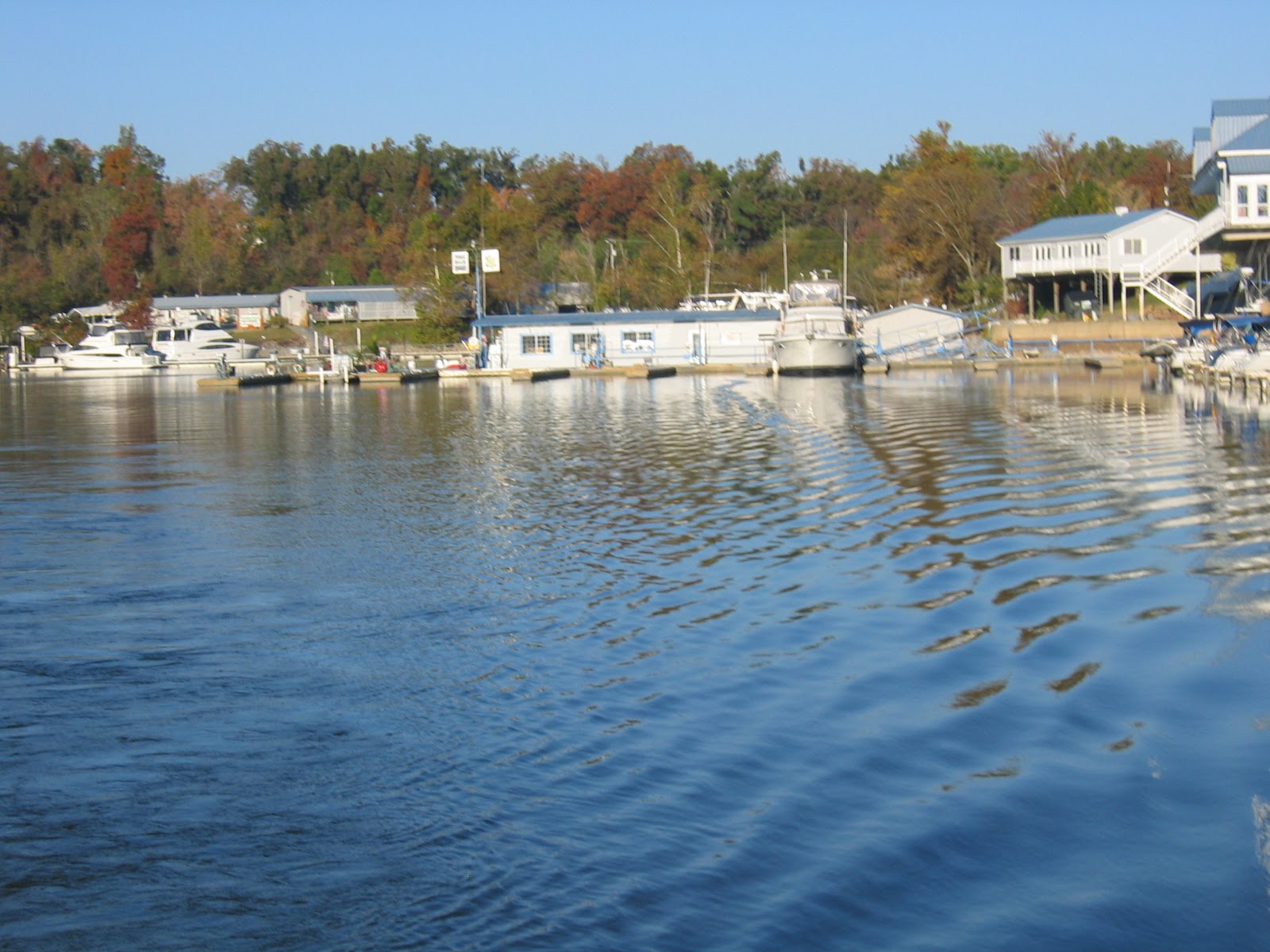 Guided Discovery We Love the Tennessee River Day 27 Grand Rivers
