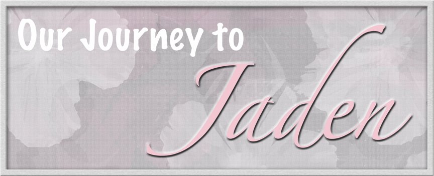 Our Journey to Jaden