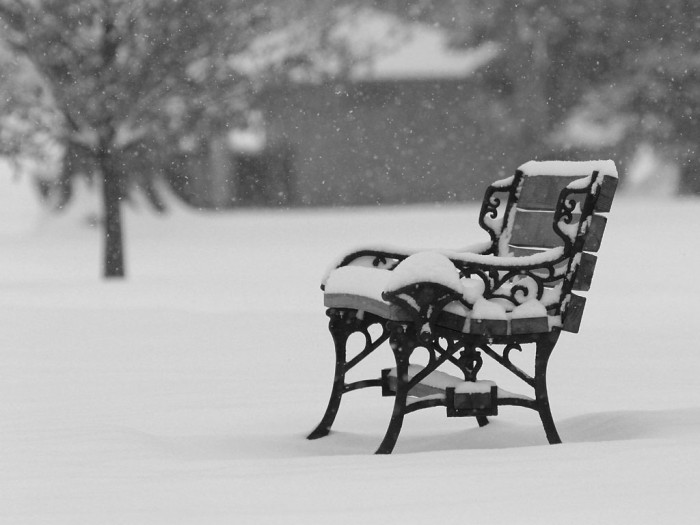 [5717_bench.JPEG]