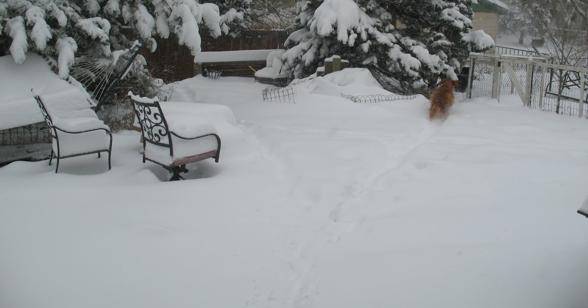 Ally B Speakin My Whole House Smells like Wet Dog...