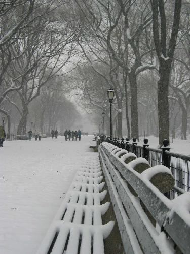 pictures of central park new york city. central park new york at