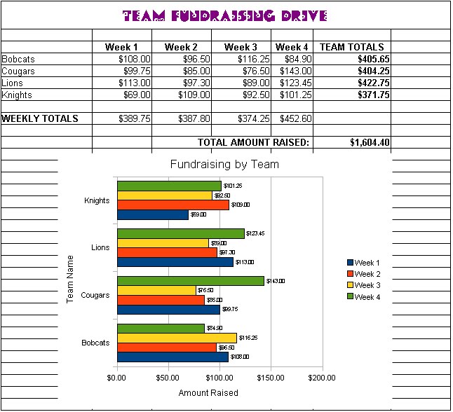introduction to computer applications team fundraising spreadsheet