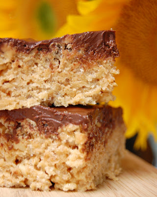 Peanut Butter Chocolate Rice