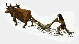 external image animal.jpg