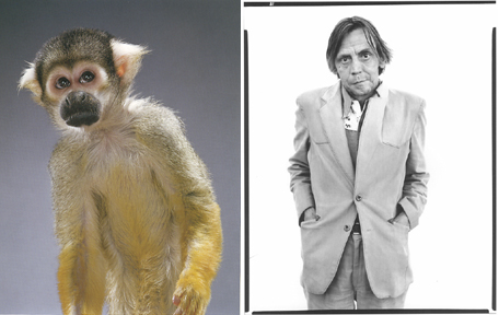 [greendriftcomp.jpg]