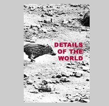 Sophie Ristelhueber: Details of the World
