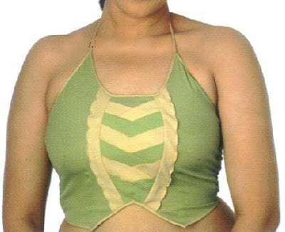 blouse or choli