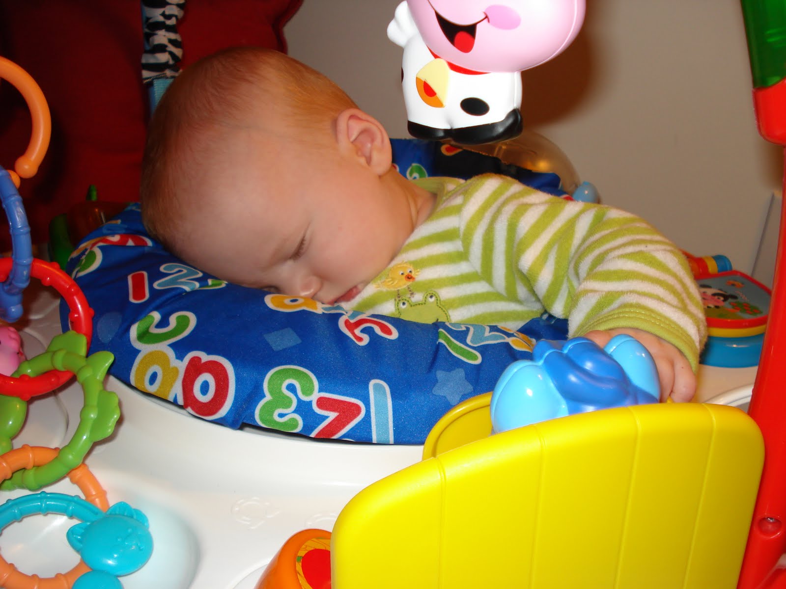 [DSC01864.JPG]