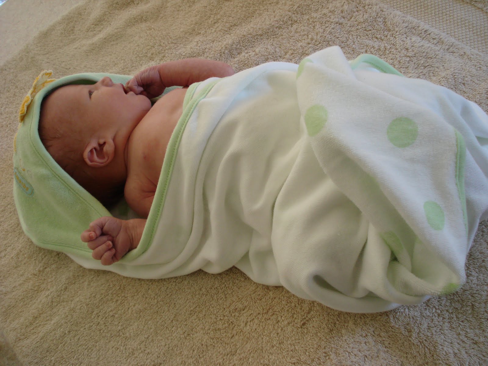 [DSC01070.JPG]