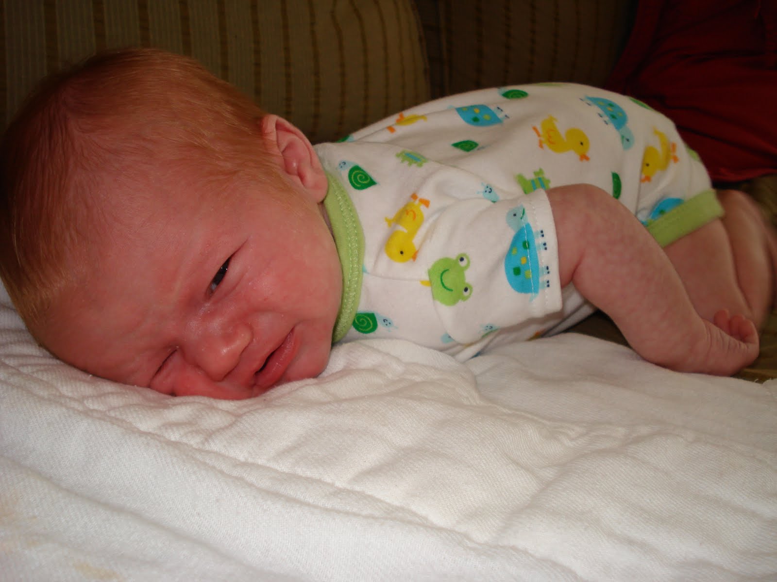[DSC01140.JPG]