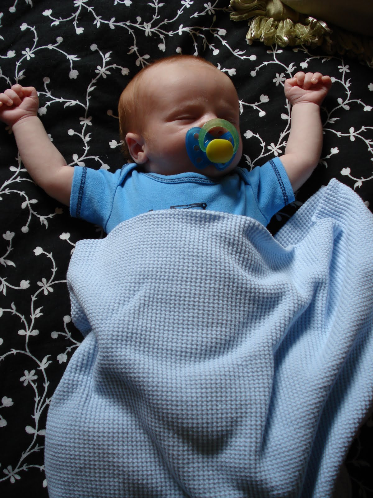 [DSC01183.JPG]