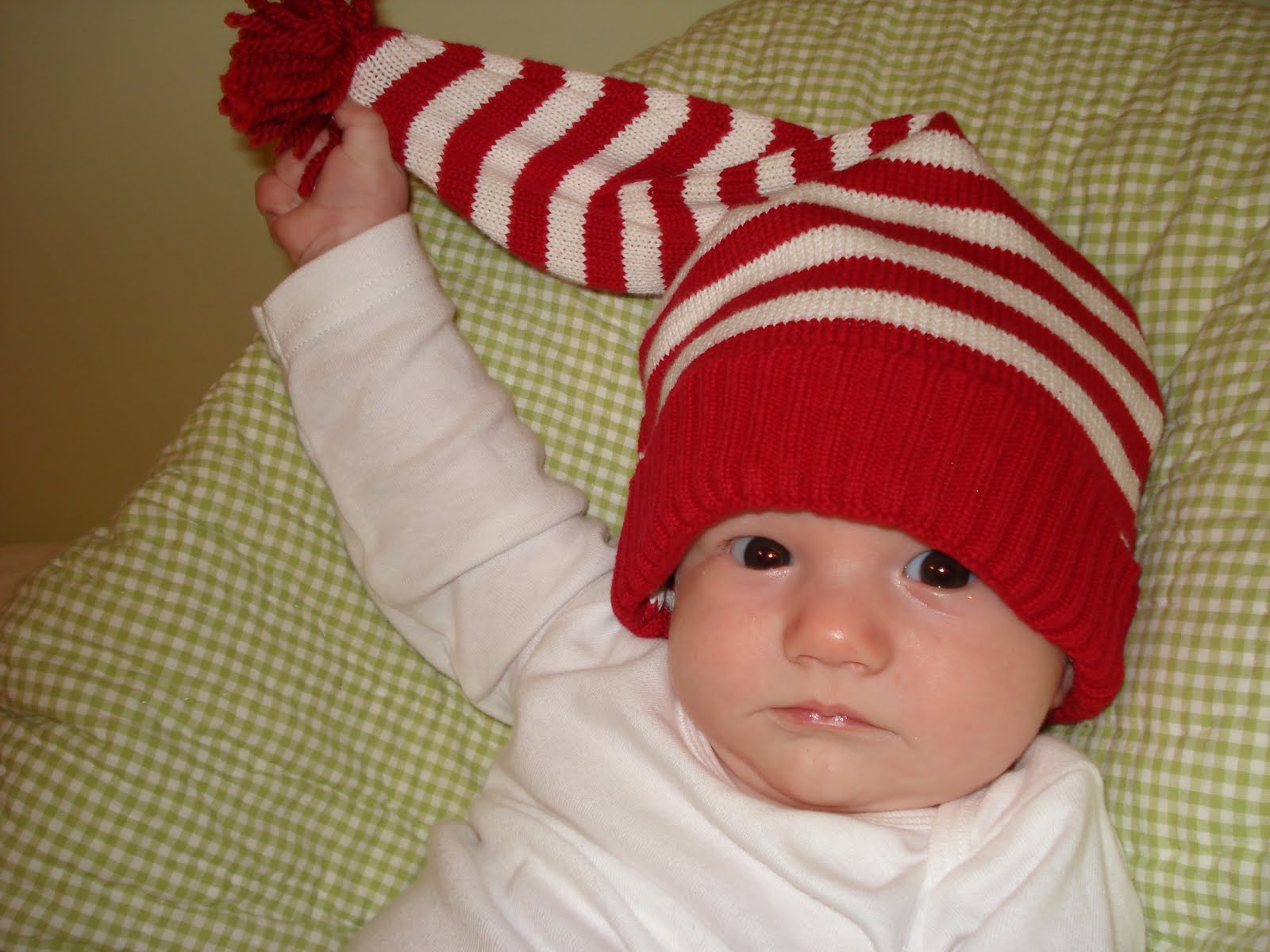 [DSC01624.JPG]