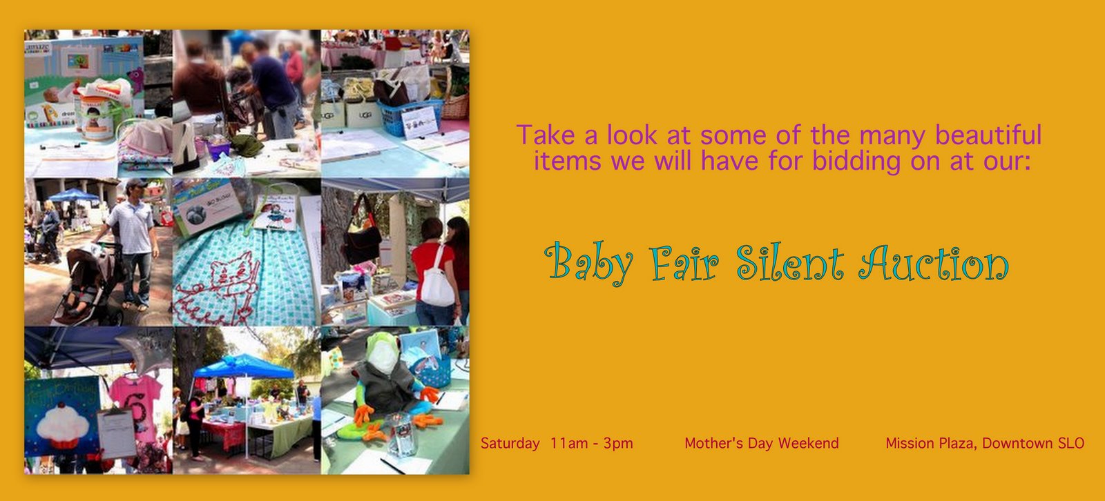 2009 Baby Fair Silent Auction