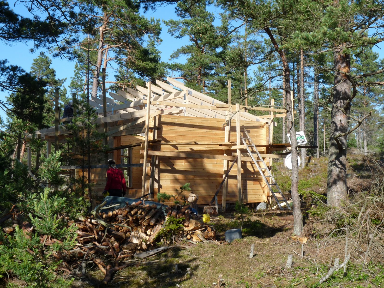 Från stock till stuga: juni 2010