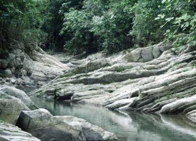 [coyutlalasgotas.jpg]