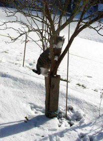 Text Il Werkstatt 2008