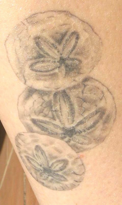 She offers up this lovely sand dollar tattoo